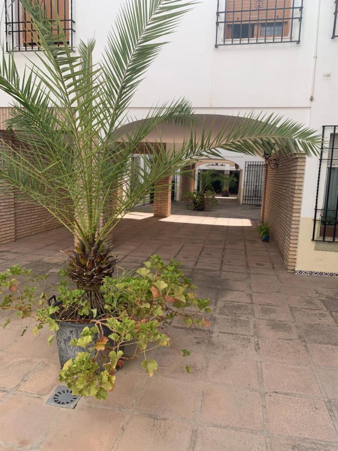 Apartamento A Estrenar A Un Minuto Del Alcazar Appartement Córdoba Buitenkant foto